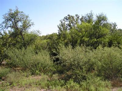 4110 E Creek View Dr., Camp Verde, AZ 86322