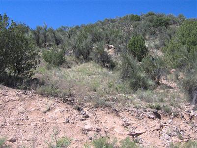 4894 N Red Sand Blvd., Rimrock, AZ 86335