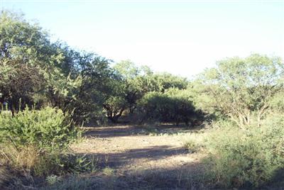 1650 Chick Rd., Cornville, AZ 86325