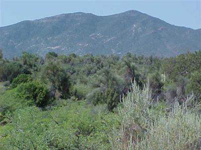 Off Blue Ranch Rd., Cottonwood, AZ 86326