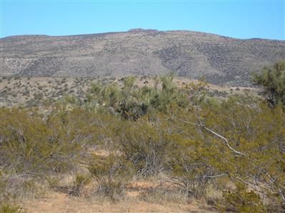 Merritt Ranch Rd., Cornville, AZ 86325