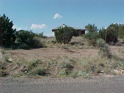 4583 E Geronimo Rd., Rimrock, AZ 86335