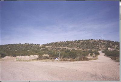 Poppies, Rimrock, AZ 86335