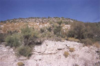 Moser Rd., Rimrock, AZ 86335