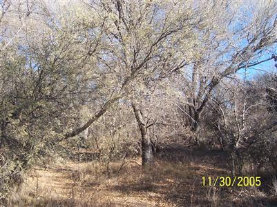 3380 E Robin Ln., Camp Verde, AZ 86322