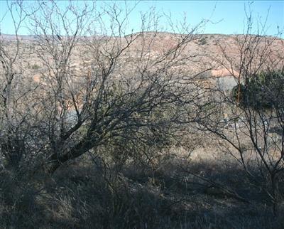 10725 E Tejan, Cornville, AZ 86325