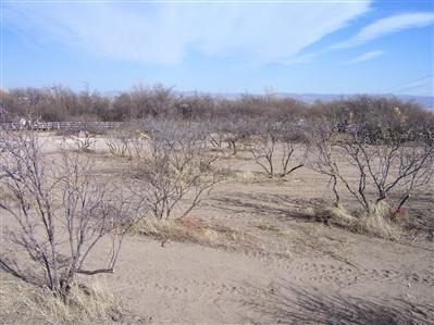 Salt Mine Rd., Camp Verde, AZ 86322