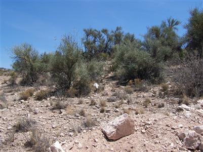 N Desert Pine Rd., Rimrock, AZ 86335