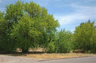 4125 E Cliffside Trail, Rimrock, AZ 86335