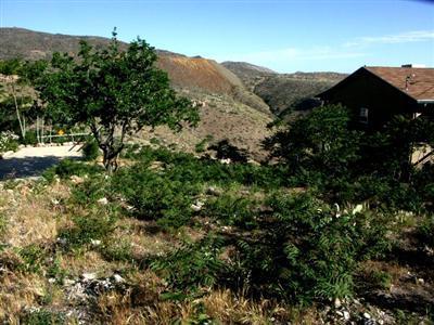 896 Hampshire Ave., Jerome, AZ 86331
