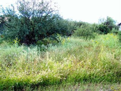 5490 N Barbara Ln., Rimrock, AZ 86335