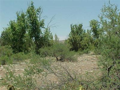 3588 E Ripple Rd., Camp Verde, AZ 86322