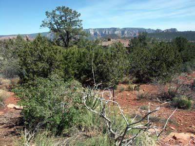 630 Rhapsody Rd., Sedona, AZ 86336
