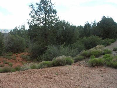 30 Bronco Dr., Sedona, AZ 86336