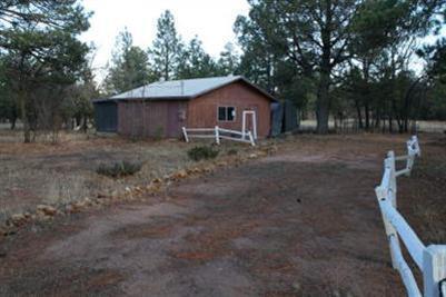 1599 Bear Track Trail, Happy Jack, AZ 86024
