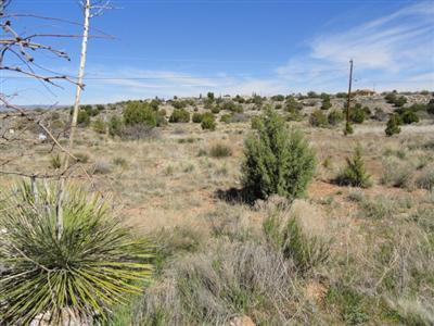 4690 E Geronimo Rd., Rimrock, AZ 86335