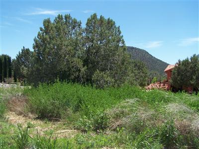 90 S House Rock Rd., Sedona, AZ 86351