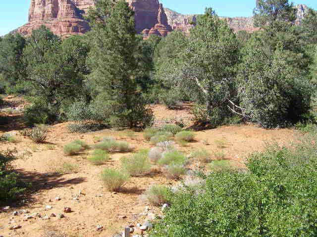 445 Concho Dr., Sedona, AZ 86351