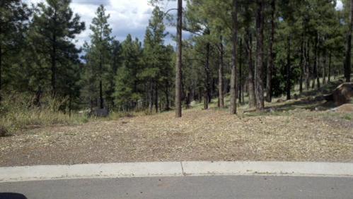 1183 N Worthington Pl., Flagstaff, AZ 86001