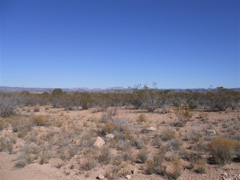 Orlandi Trail Tr., Rimrock, AZ 86335