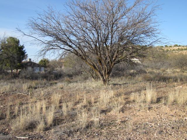 4270 E Cliffside #5, Rimrock, AZ 86335