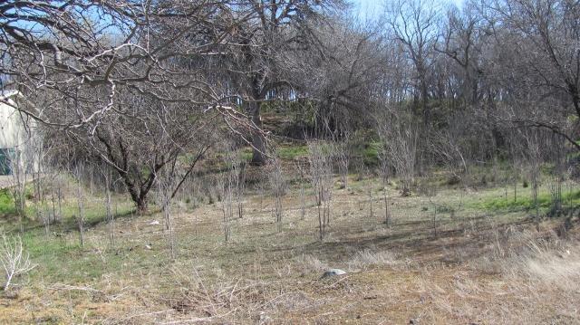 3043 S White Birch Dr., Camp Verde, AZ 86322