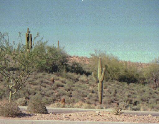 15825 N Palisades Blvd., Fountain Hills, AZ 85268