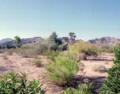 6729 E Cheney Dr., Paradise Valley, AZ 85253