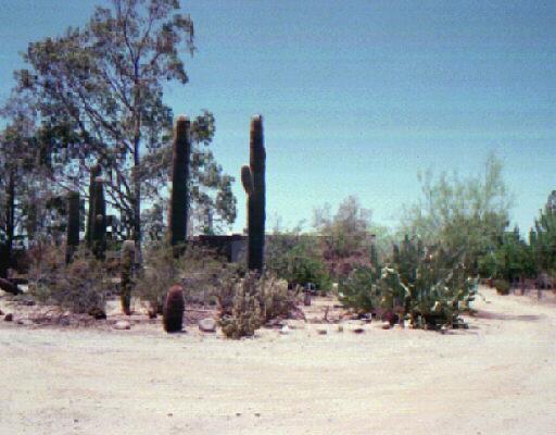 24002 N 89th Ave., Peoria, AZ 85382