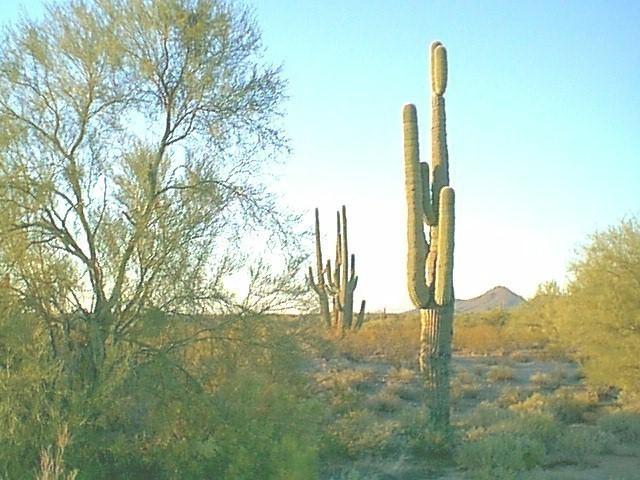 N Castle Hot Springs Rd., Morristown, AZ 85342