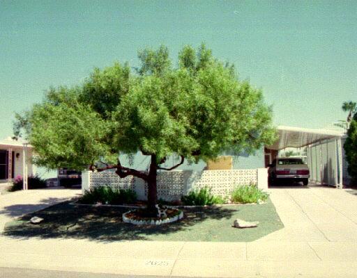 2625 N Higley Rd., Mesa, AZ 85215