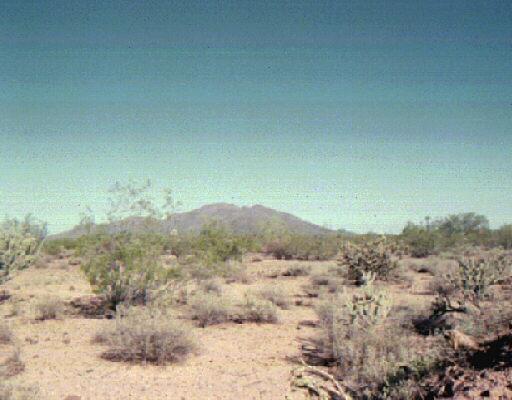 506 W Ridge Crest Rd., Phoenix, AZ 85086