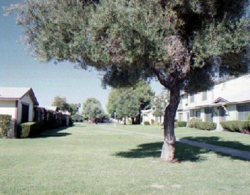 6118 N 30th Ave., Phoenix, AZ 85017