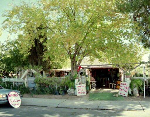 14201 N 3rd St., El Mirage, AZ 85335