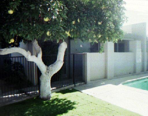 1250 E Bethany Home Rd. #13, Phoenix, AZ 85014