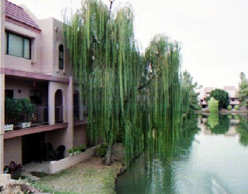 2524 S El Paradiso Rd. #30, Mesa, AZ 85202