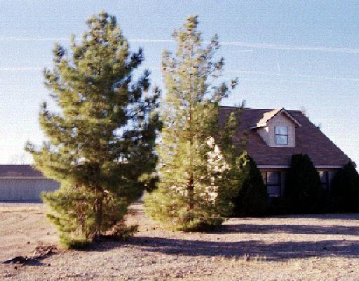 23420 S Via Del Arroyo St., Queen Creek, AZ 85142