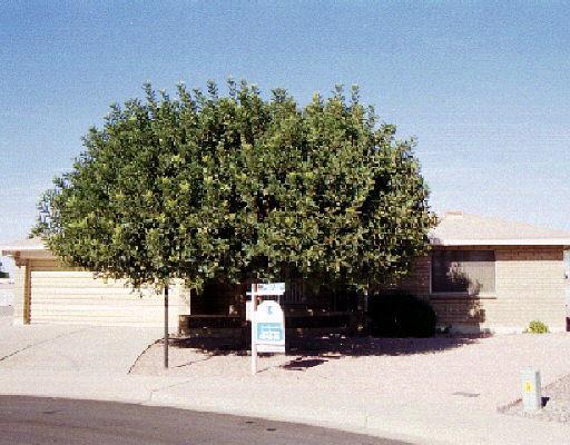 4644 E Calypso Ave., Mesa, AZ 85206