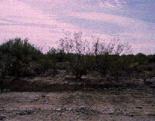 36824 N 26th St., Phoenix, AZ 85027