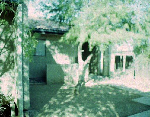 3228 W Glendale Ave. #154, Phoenix, AZ 85051