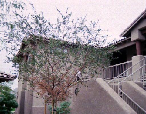 9100 E Raintree Dr. #218, Scottsdale, AZ 85260