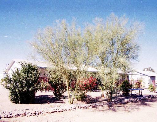 2146 W Greasewood St., Apache Junction, AZ 85220