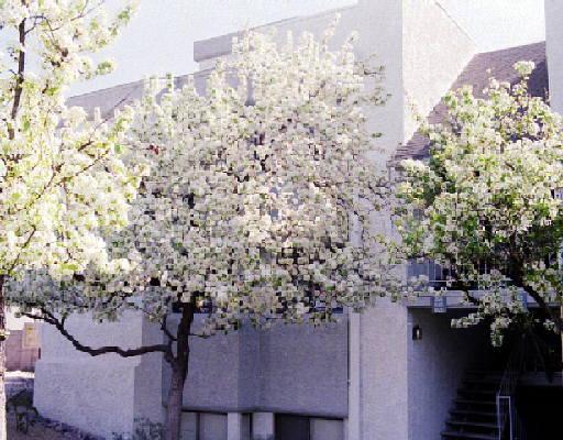 18811 N 19th Ave. #2026, Phoenix, AZ 85027