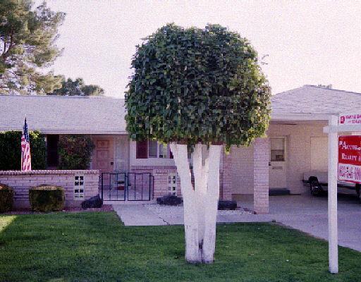 9457 N 110th Ave., Sun City, AZ 85351