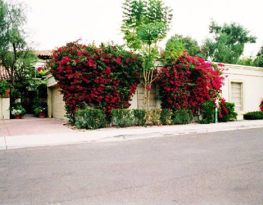 6701 N Scottsdale Rd. #37, Scottsdale, AZ 85250