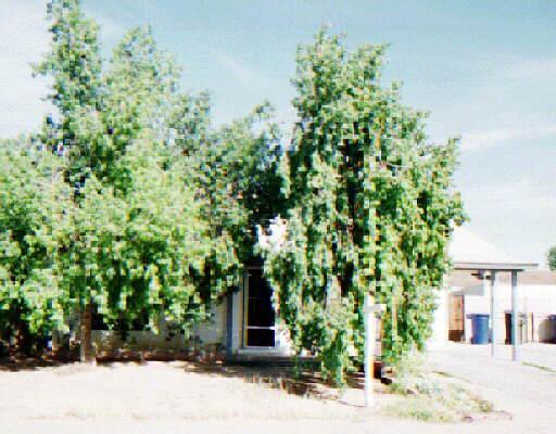 3303 N Morino St., Chandler, AZ 85225