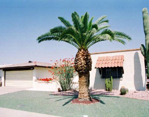 4514 E Catalina Ave., Mesa, AZ 85206