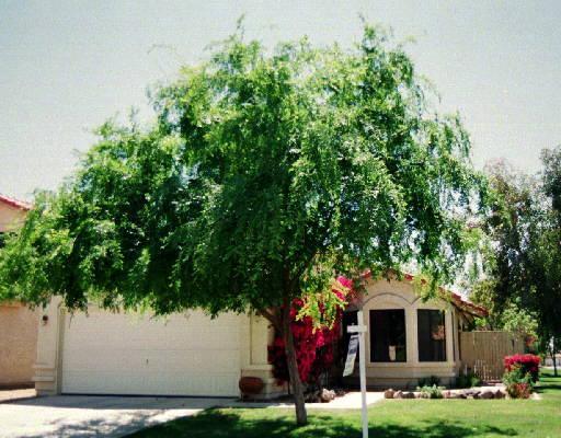 4507 E Amberwood Dr., Phoenix, AZ 85048