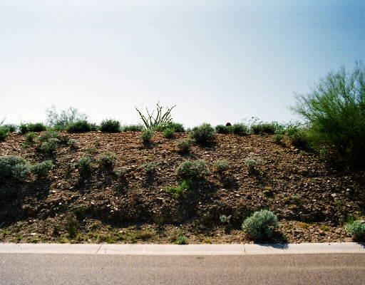 13029 N Mountainside Dr., Fountain Hills, AZ 85268