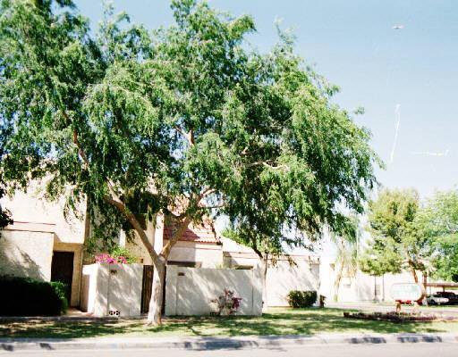 1342 W Emerald Ave. #360, Mesa, AZ 85202